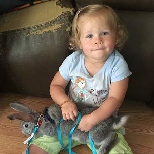 Meet your Posher, Darlene